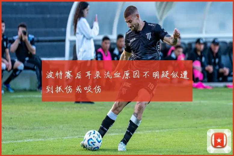 波特赛后耳朵流血原因不明疑似遭到抓伤或咬伤